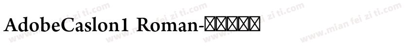 AdobeCaslon1 Roman字体转换